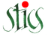 Stics formation